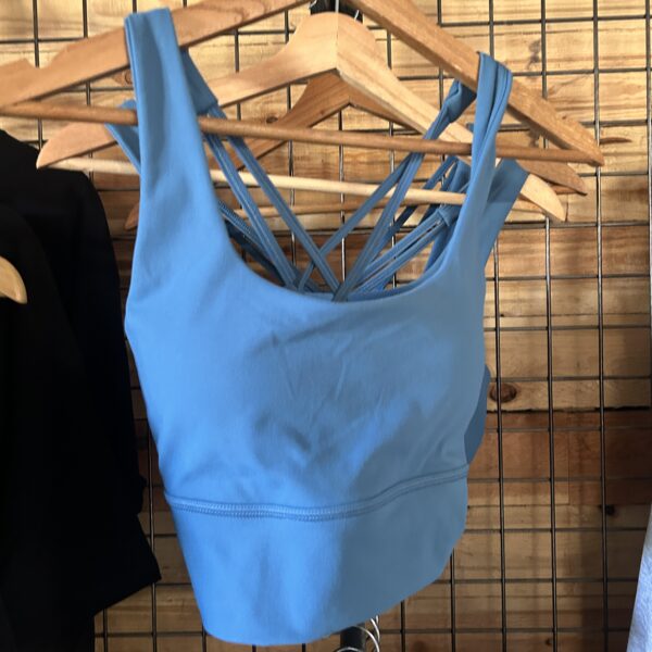 Brassiere  "Asterion Bleu"