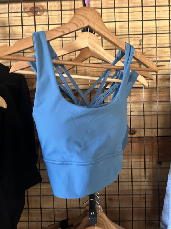 Brassiere  "Asterion Bleu"