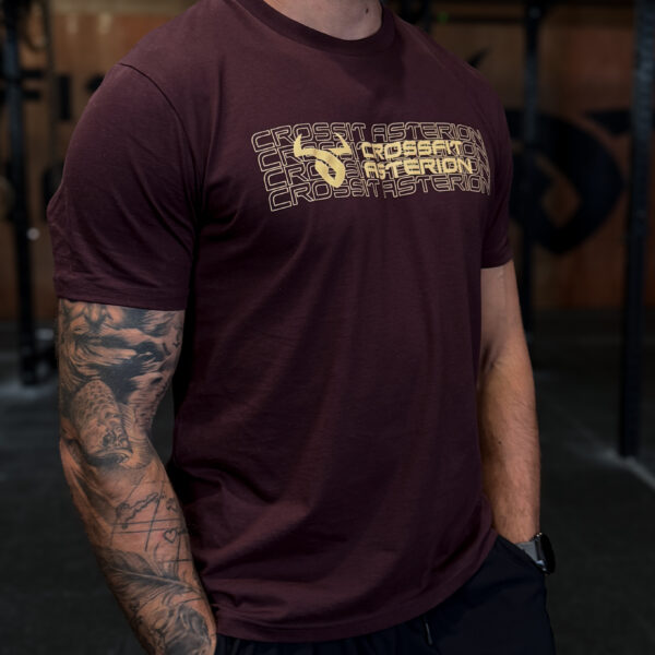 T-shirt "Crossfit Asterion"